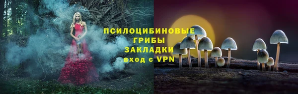 гашик Бородино