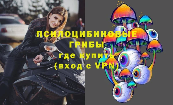 гашик Бородино