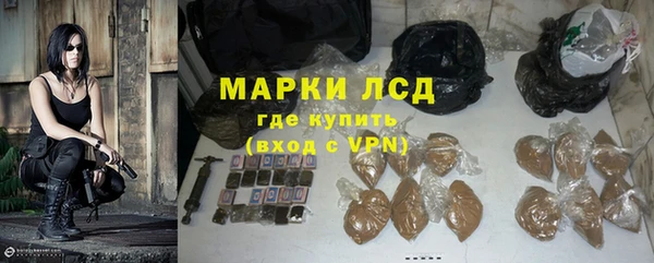 гашик Бородино