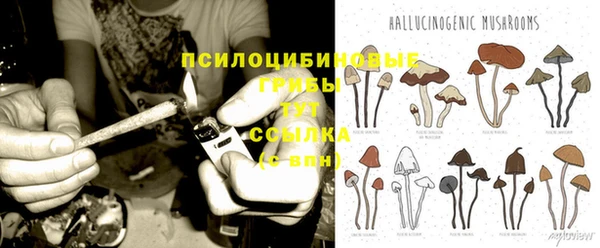 гашик Бородино