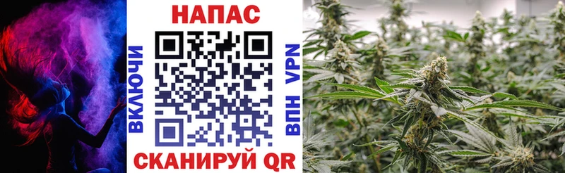 Марихуана Bruce Banner  Михайловск 